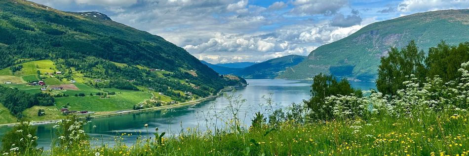 Schöne sommerliche Landschaft mit Hügeln, Blumenwiesen und blauem Himmel